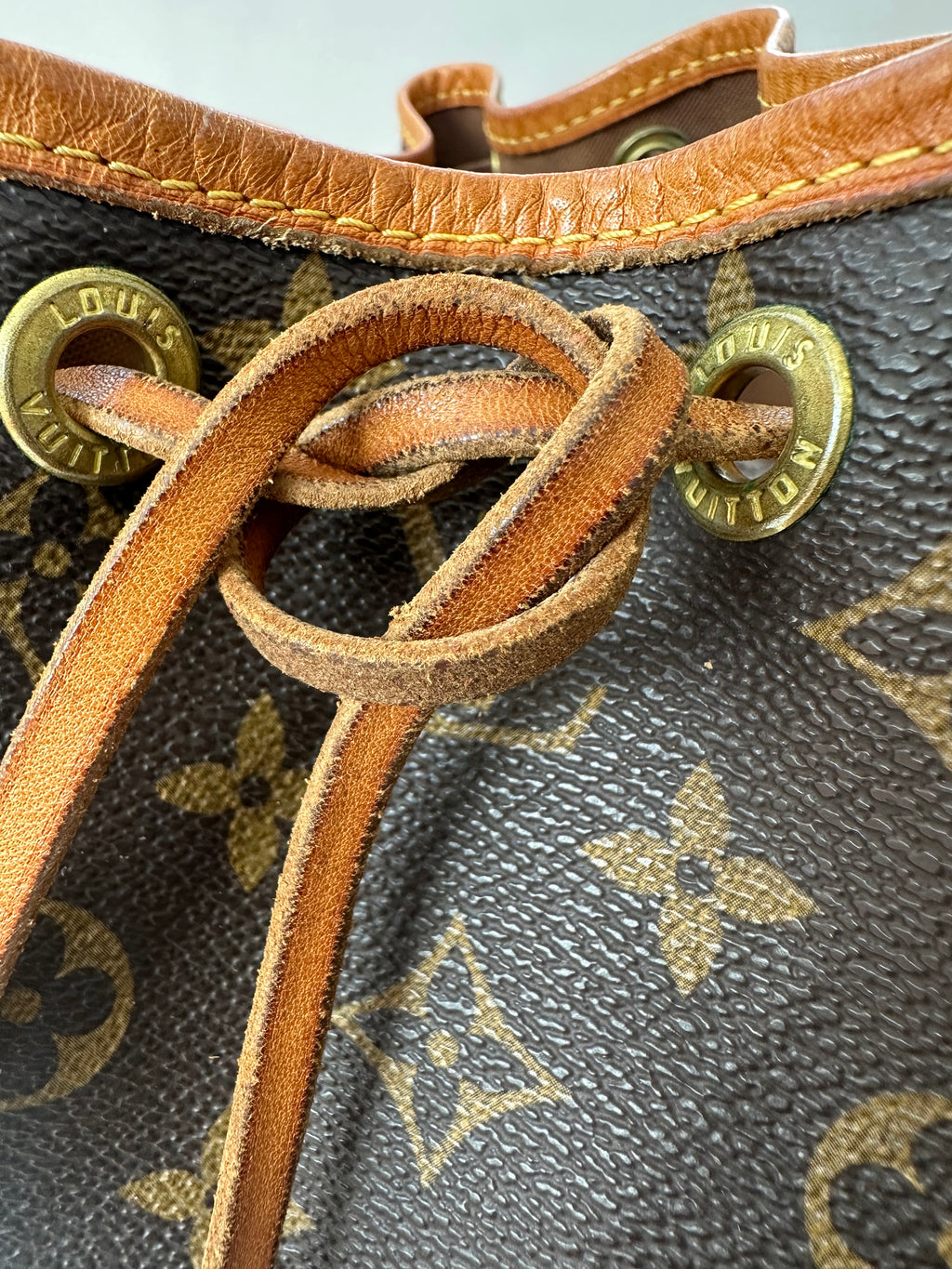 Louis Vuitton Petite Noé