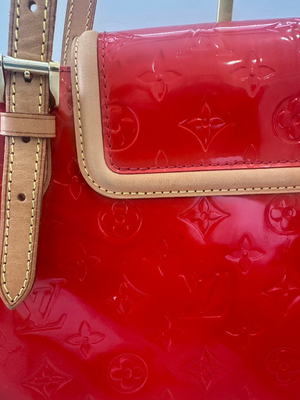 Louis Vuitton Biscayne Bay GM Vern