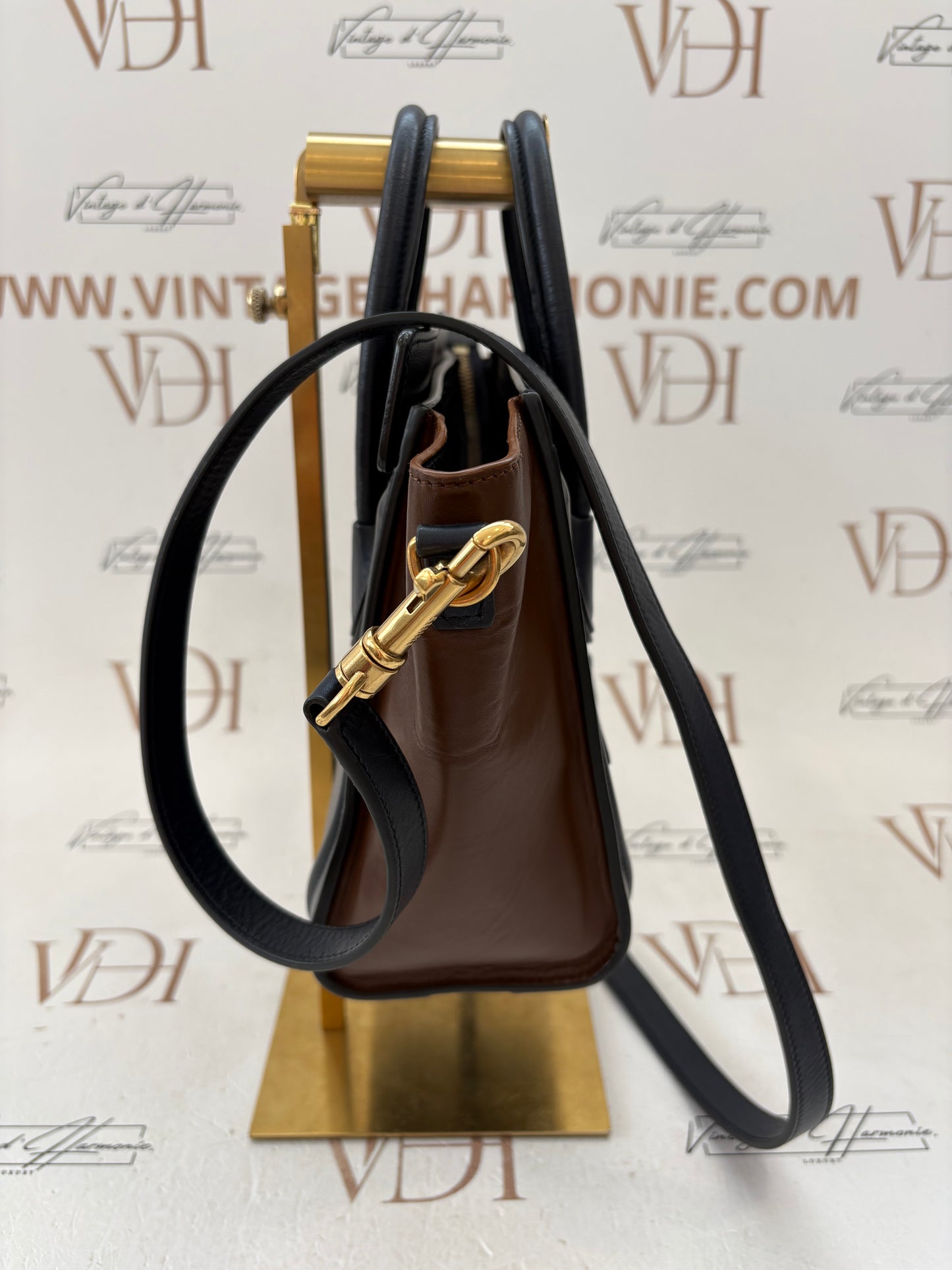 201656 - Céline Nano