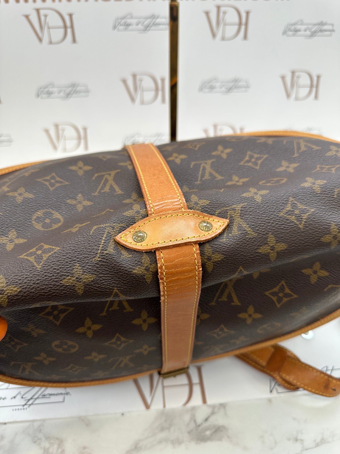 018125 - Louis Vuitton Saumur 35