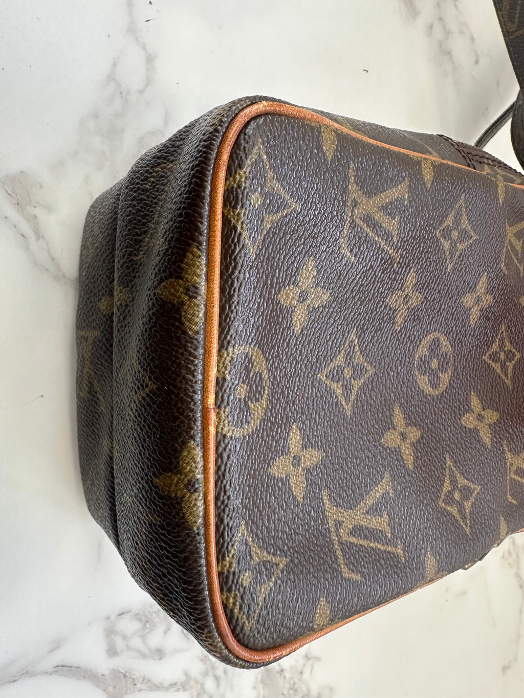Louis Vuitton Mini Amazon