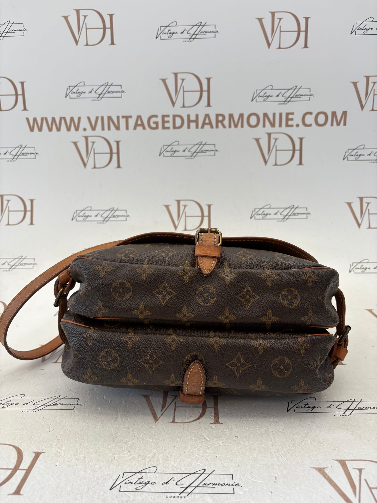 016959 - Louis Vuitton Saumur 30