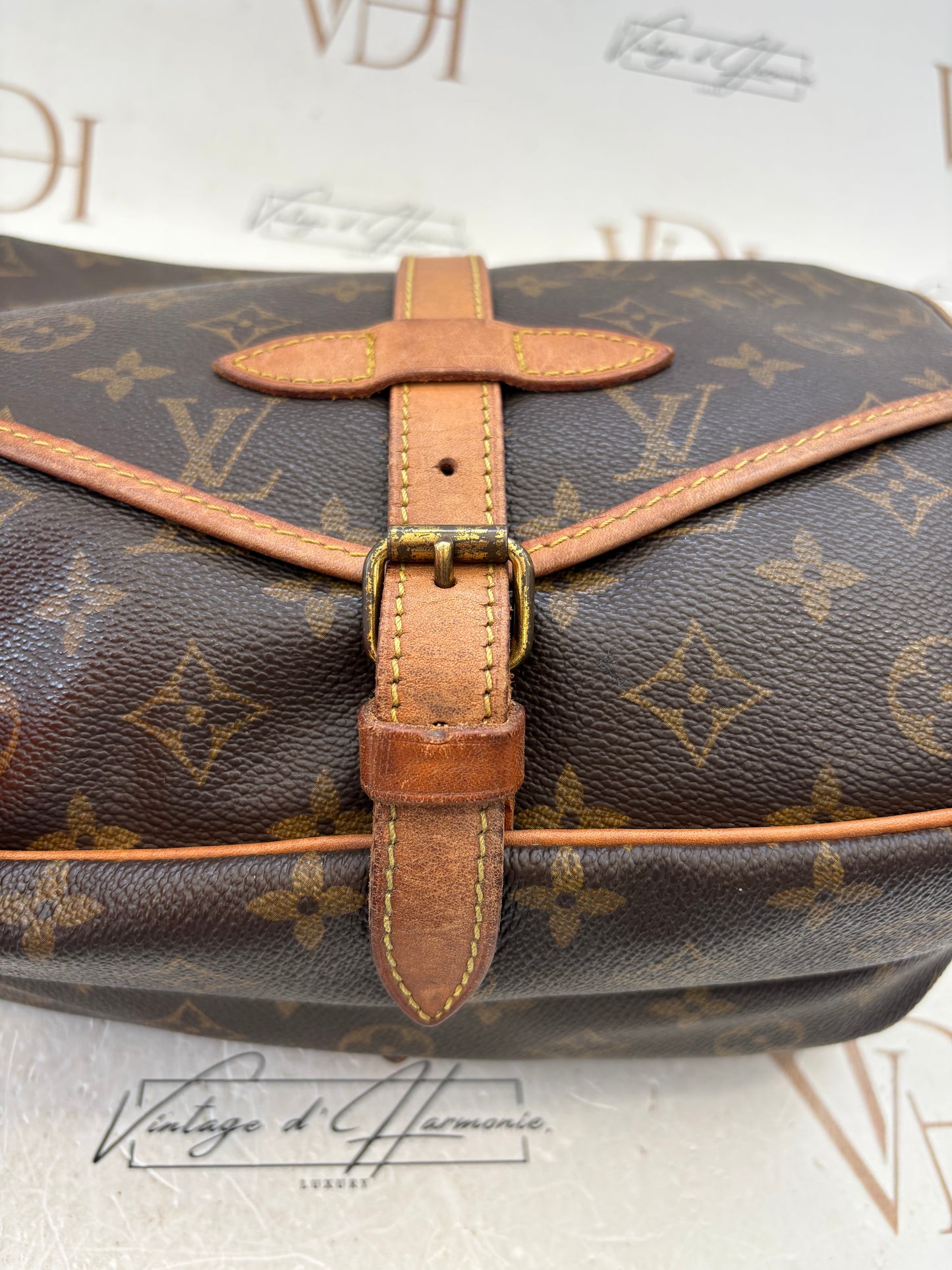 016959 - Louis Vuitton Saumur 30