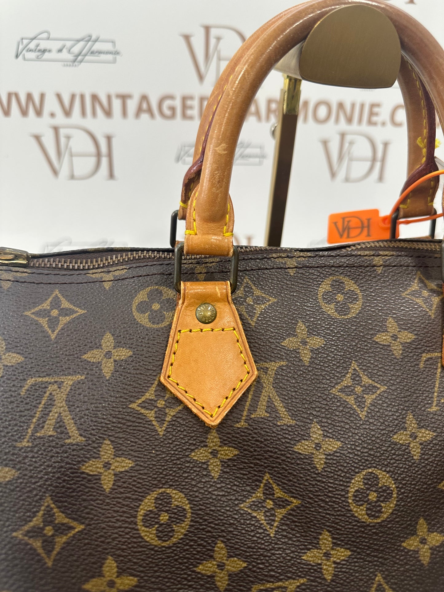 018723 - Louis Vuitton Speedy 30