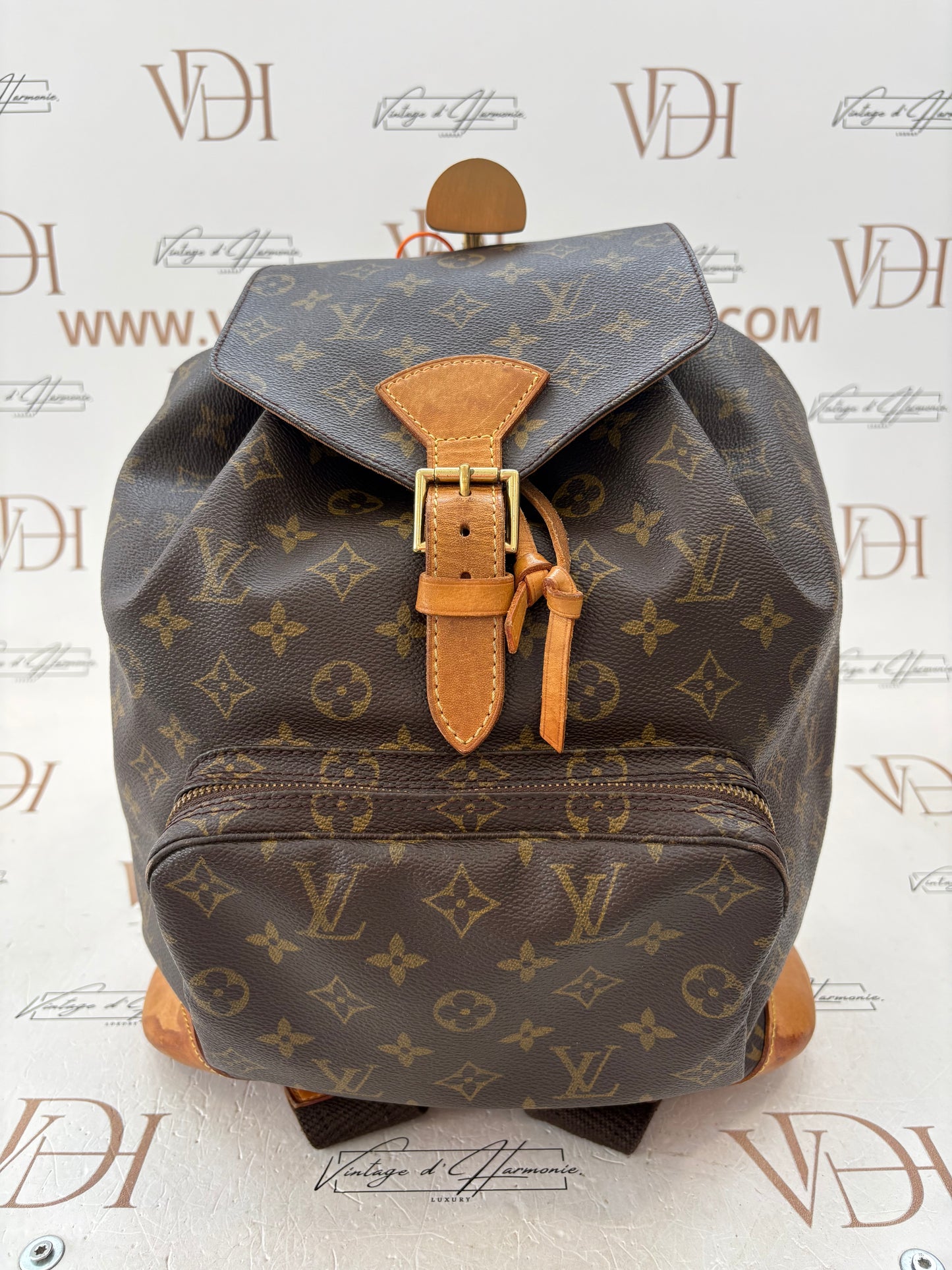018565 - Louis Vuitton Montsouris GM