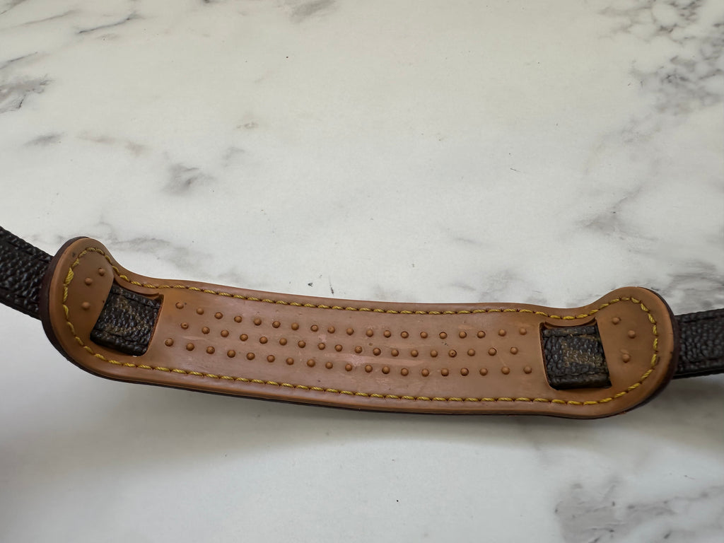 Louis Vuitton Mini Amazon