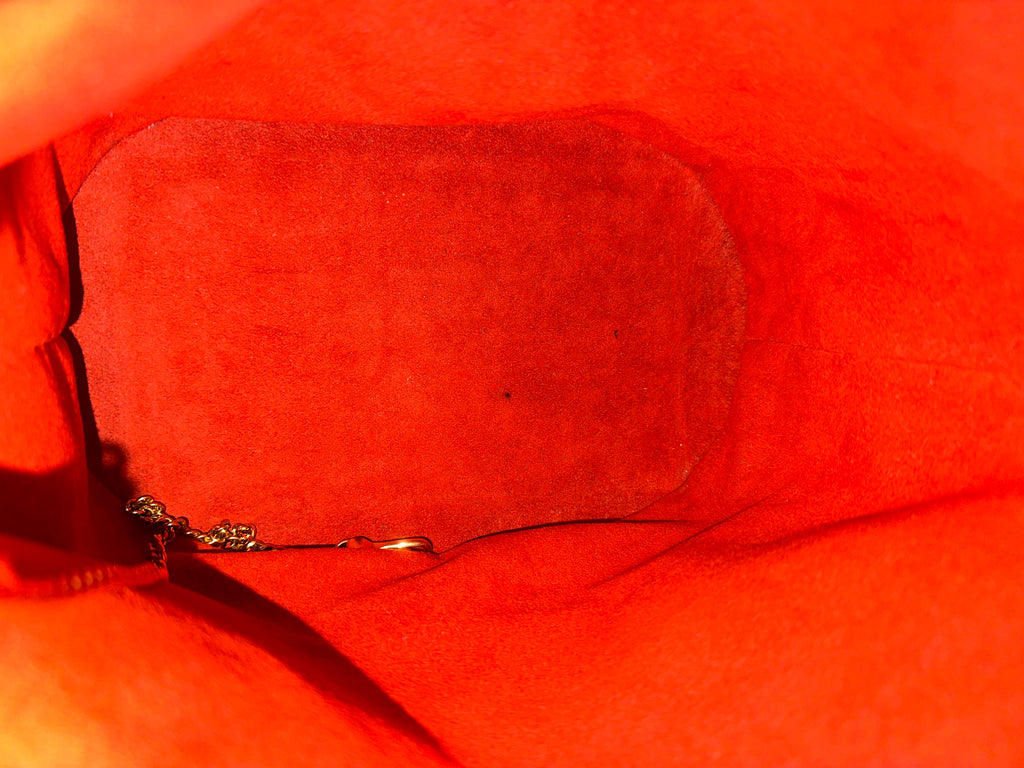 Louis Vuitton Damier Marais