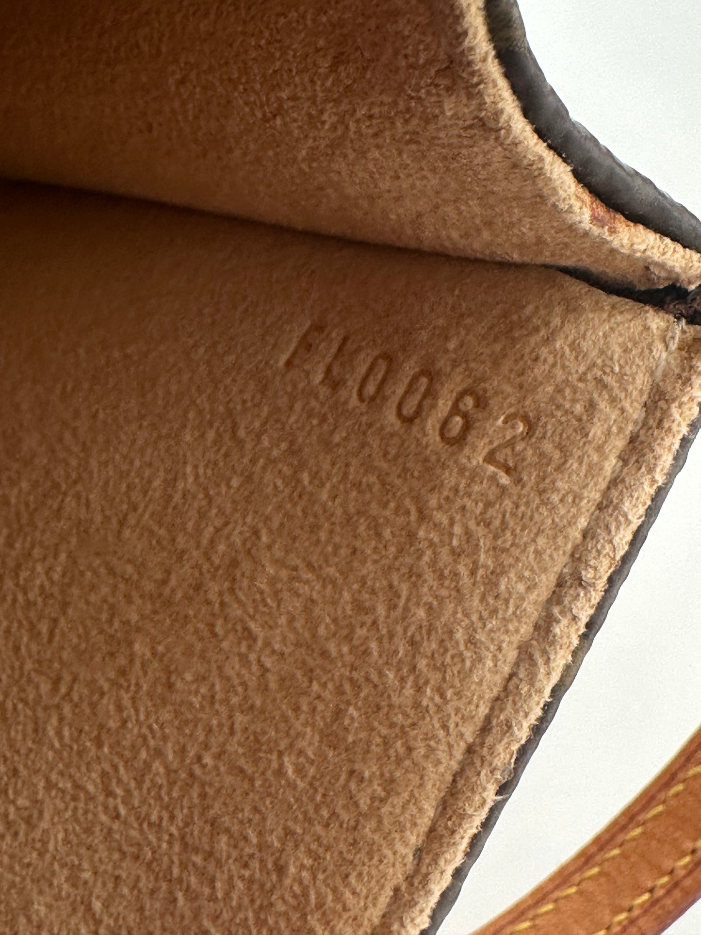 Louis Vuitton Pochette Twin GM