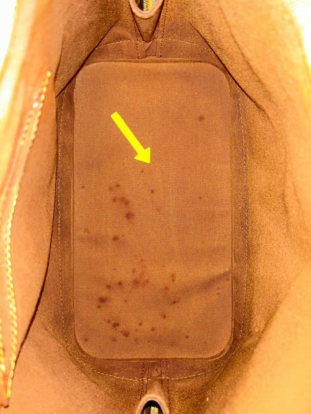 Borsa Alma Louis Vuitton