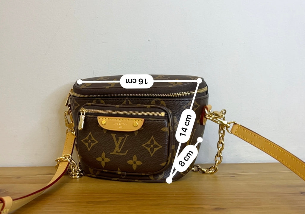 Borsa Louis Vuitton Mini Bumbag