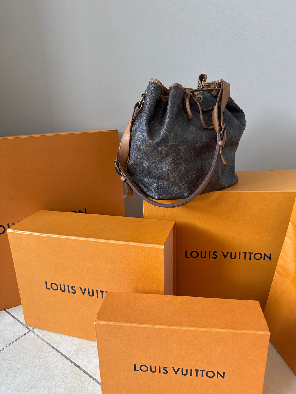 Louis Vuitton Petite Noè