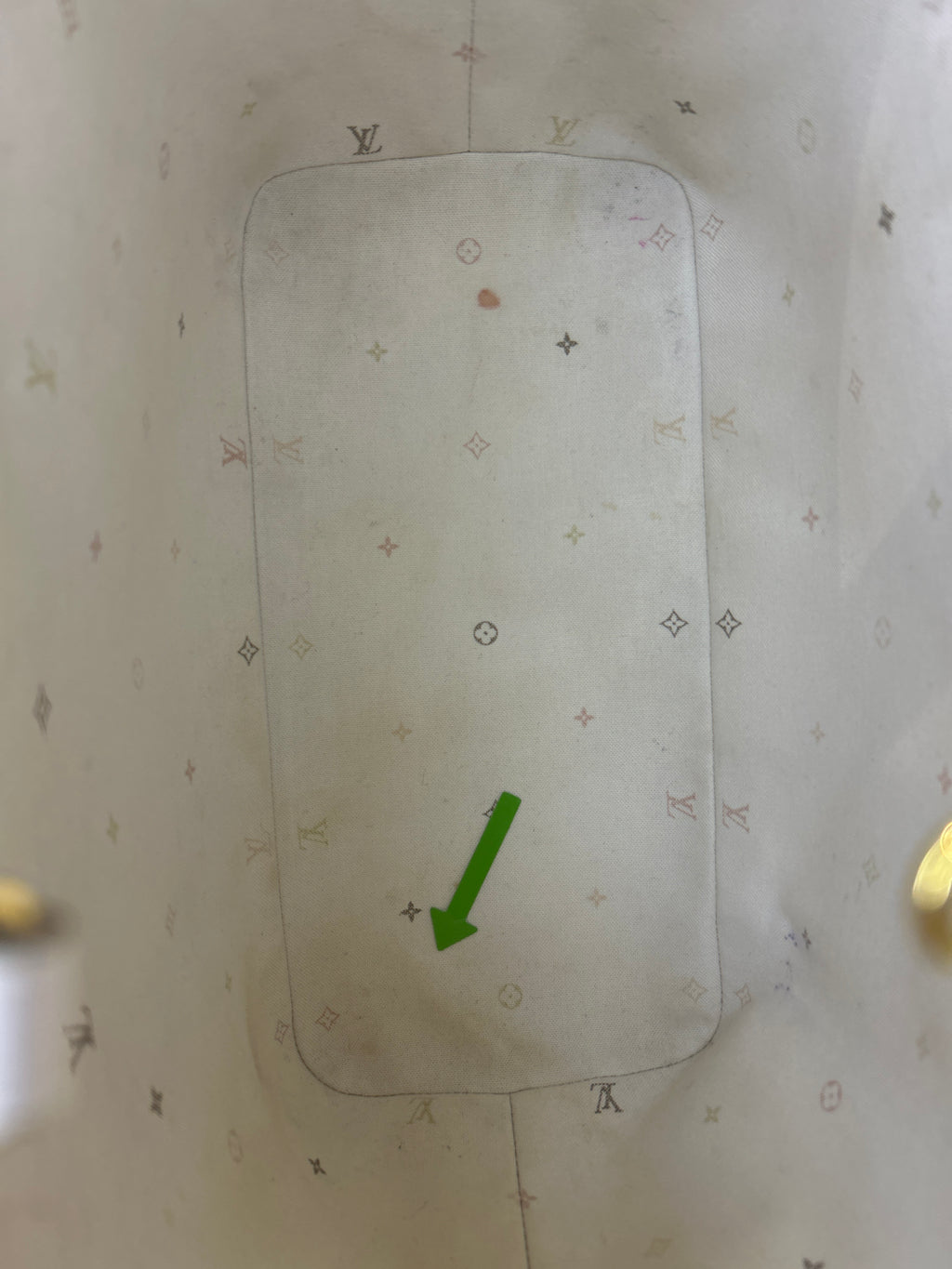 Louis Vuitton Neverfull Spring