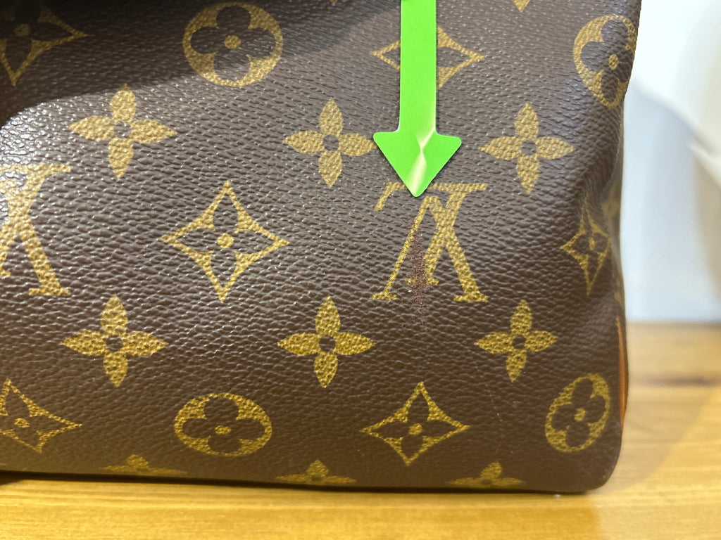 Bauletto Louis Vuitton Speedy 35