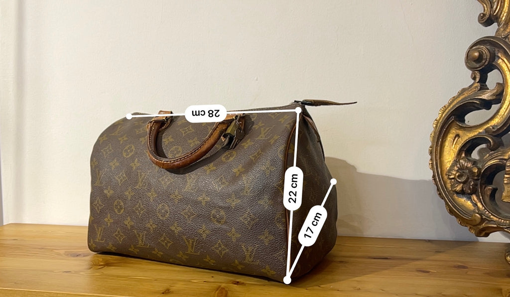 Bauletto Louis Vuitton Speedy 30
