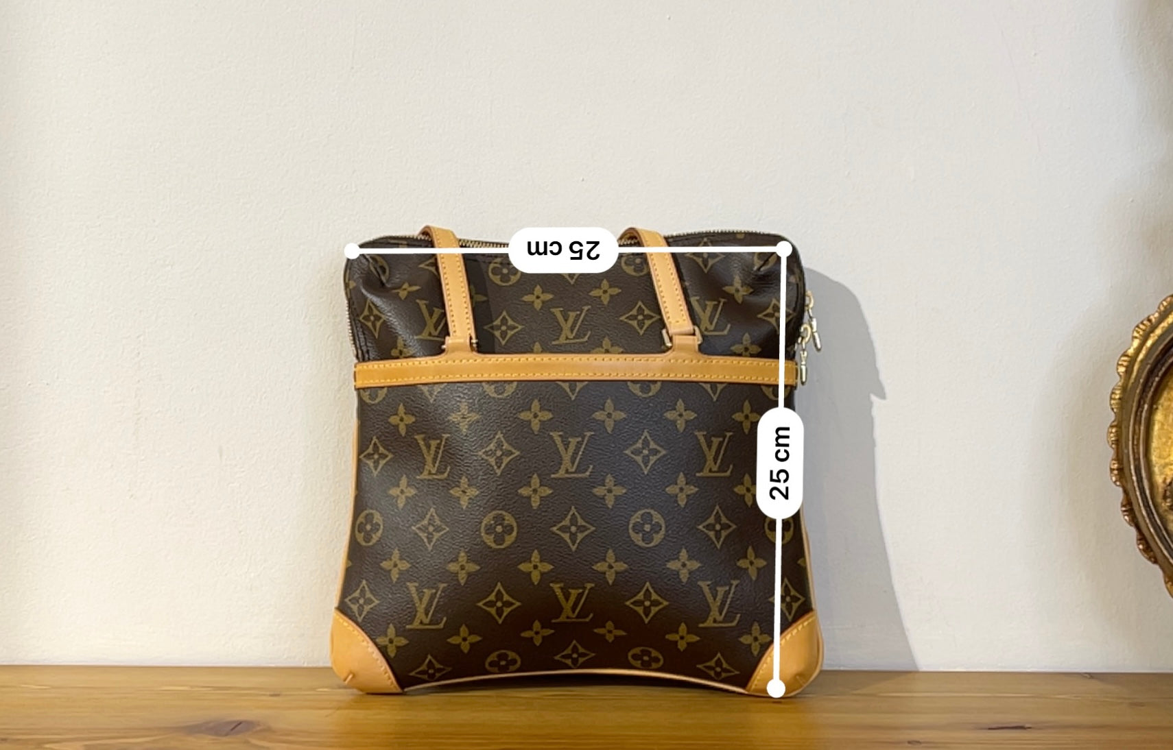 Louis Vuitton Coussin