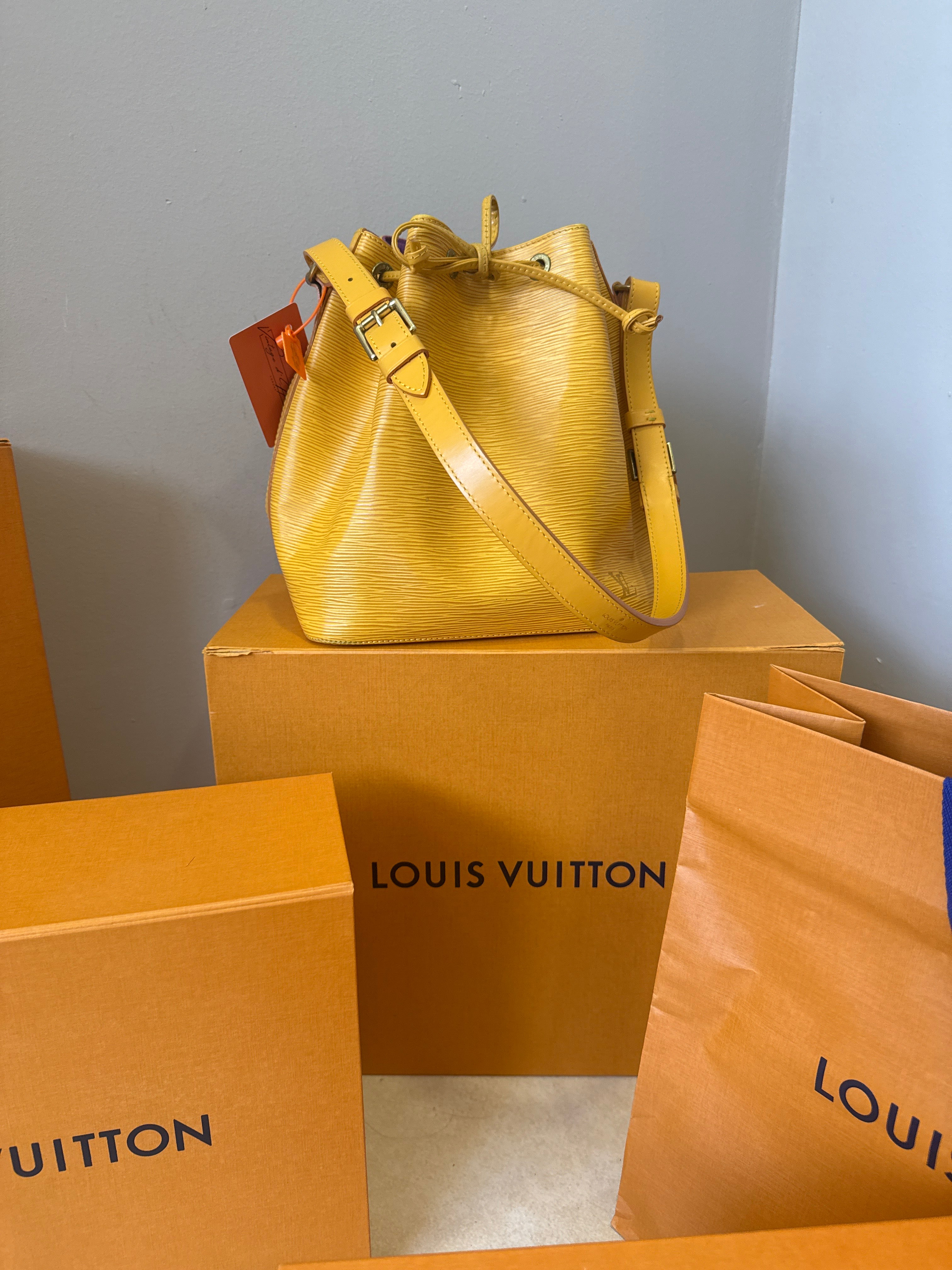 Louis Vuitton Petite Noè Epi