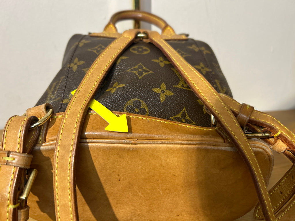 Louis Vuitton Montsouris PM