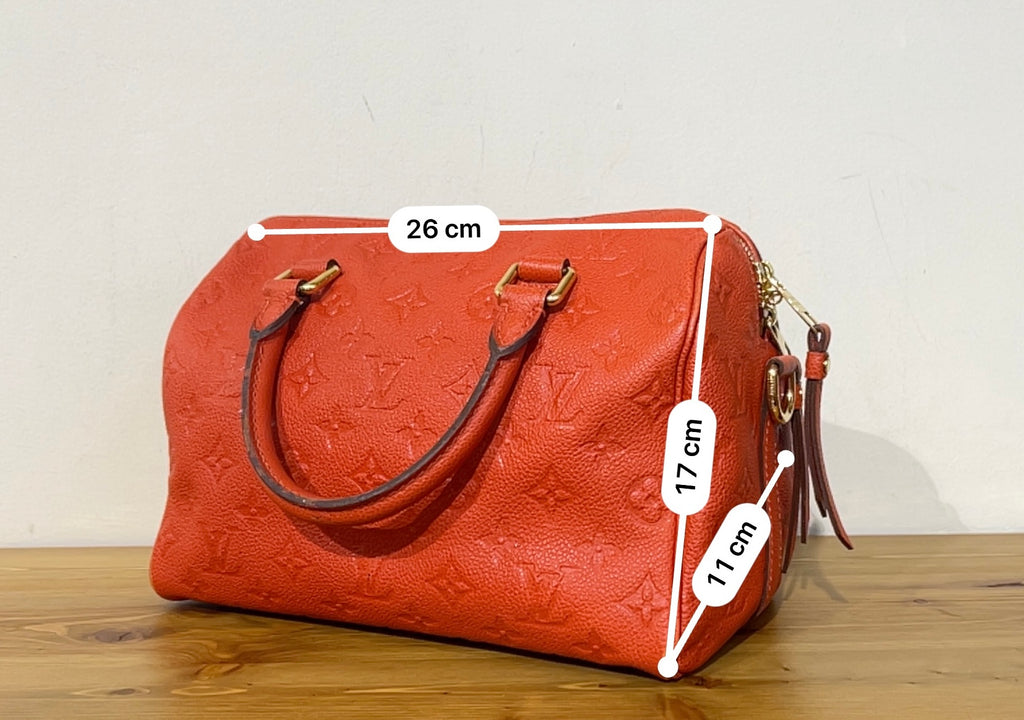 Bauletto Louis Vuitton Speedy 25