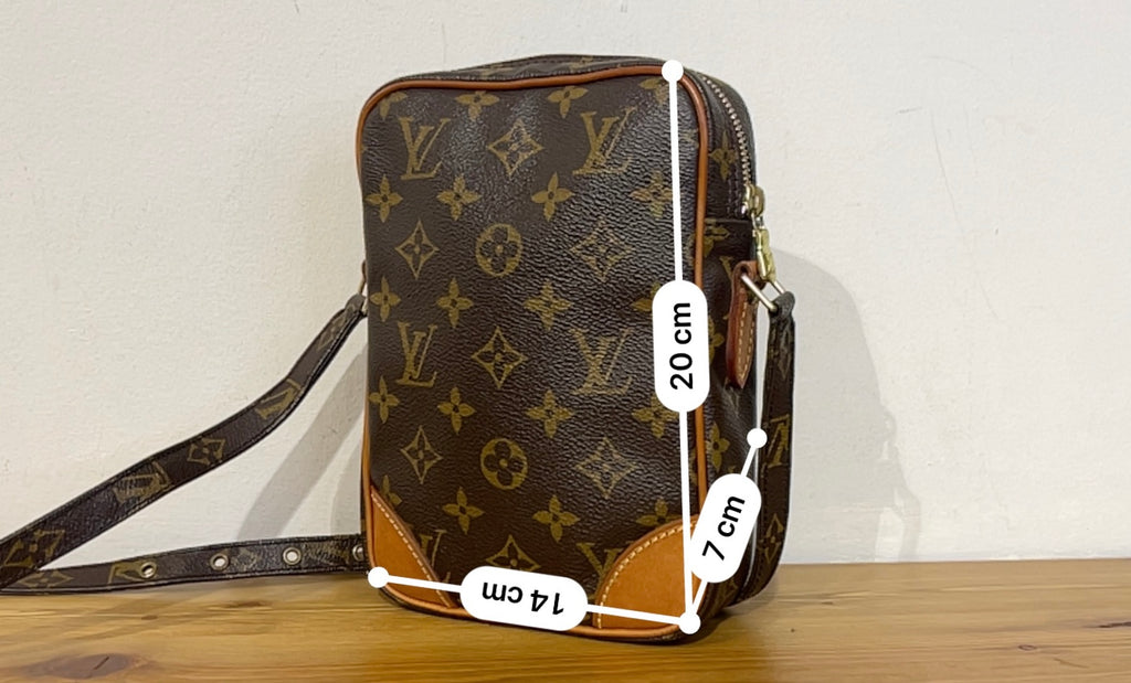 Borsa Louis Vuitton Danube