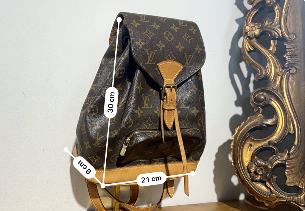 Louis Vuitton Montsouris MM