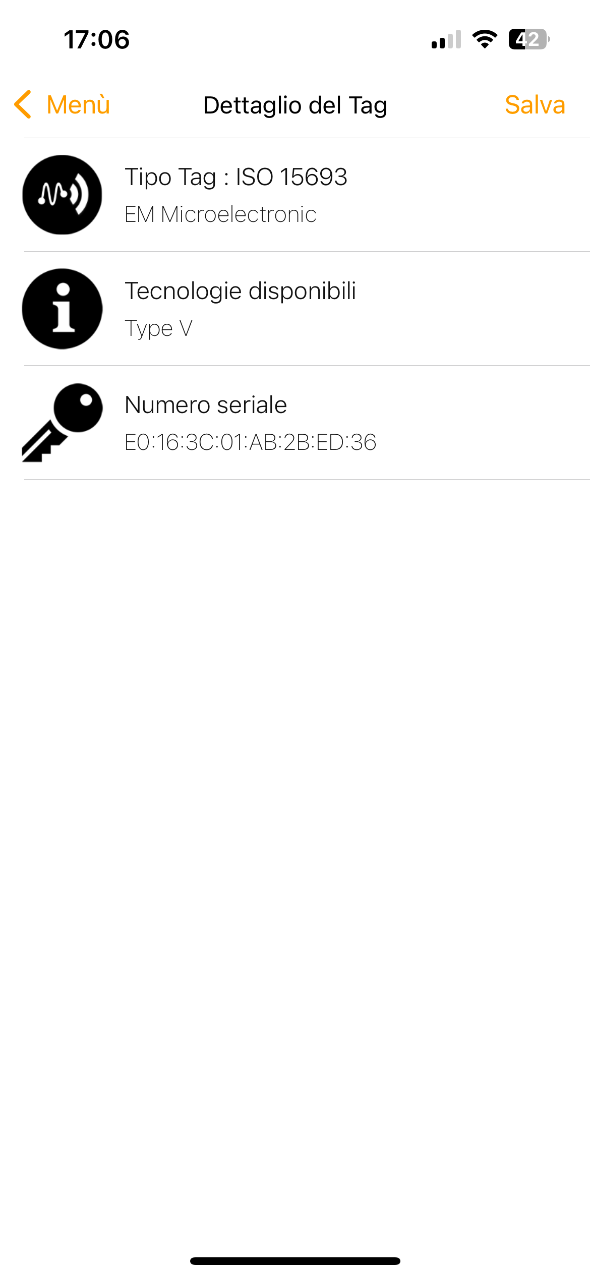 Louis Vuitton Looping