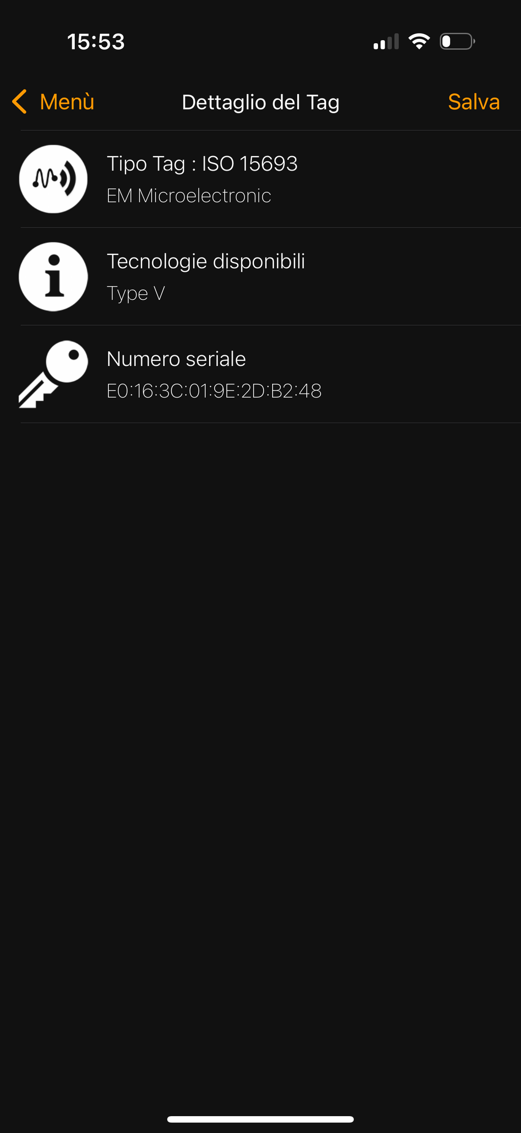 Louis Vuitton Neverfull Spring