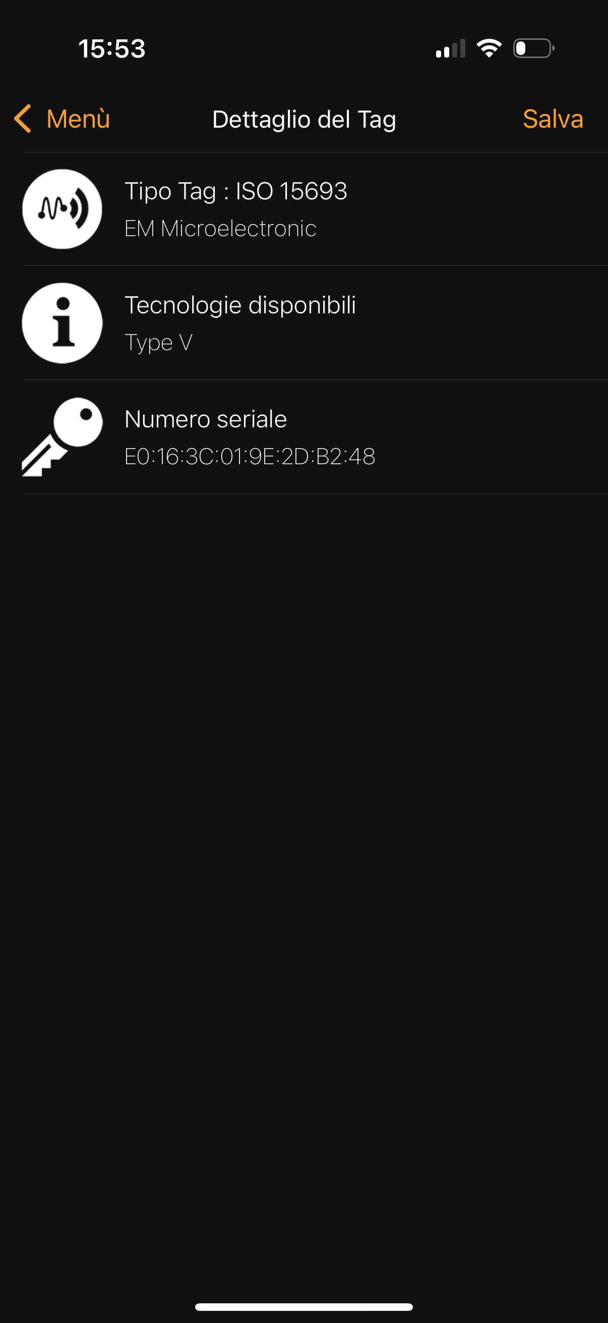 Louis Vuitton Neverfull Spring