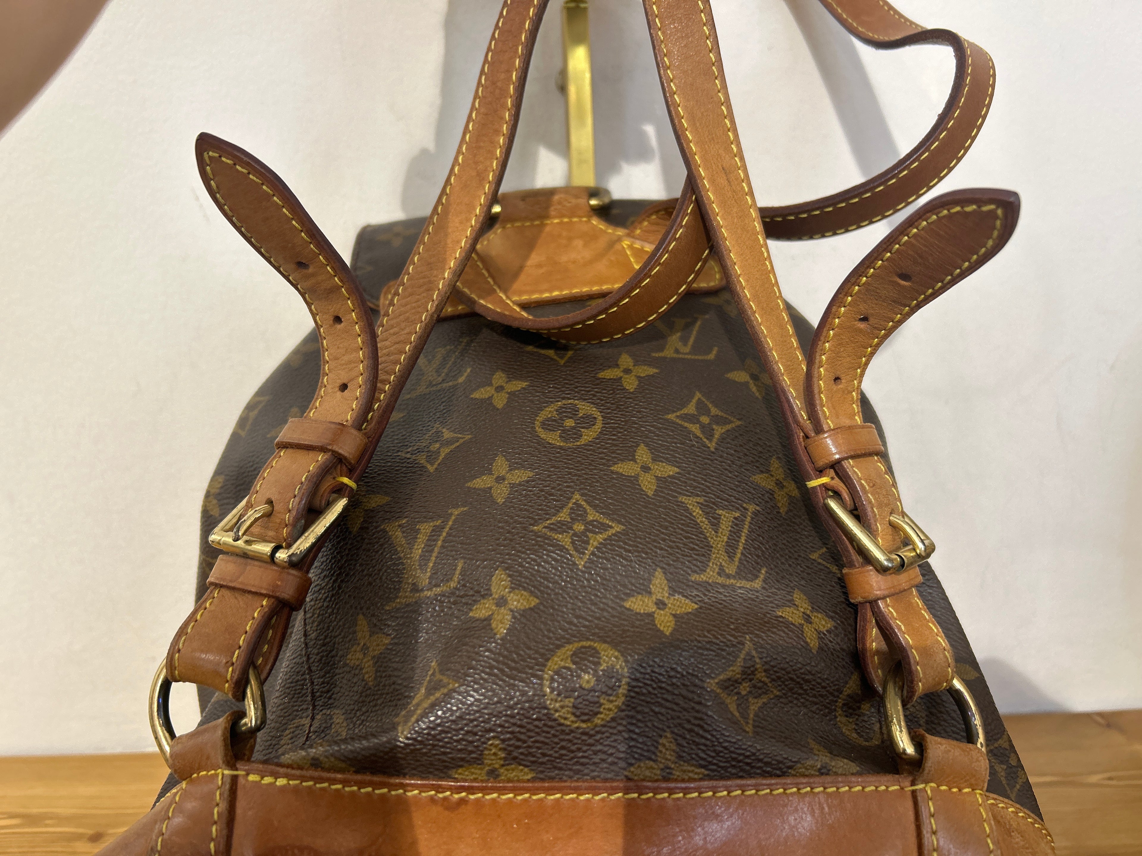 Louis Vuitton Montsouris MM