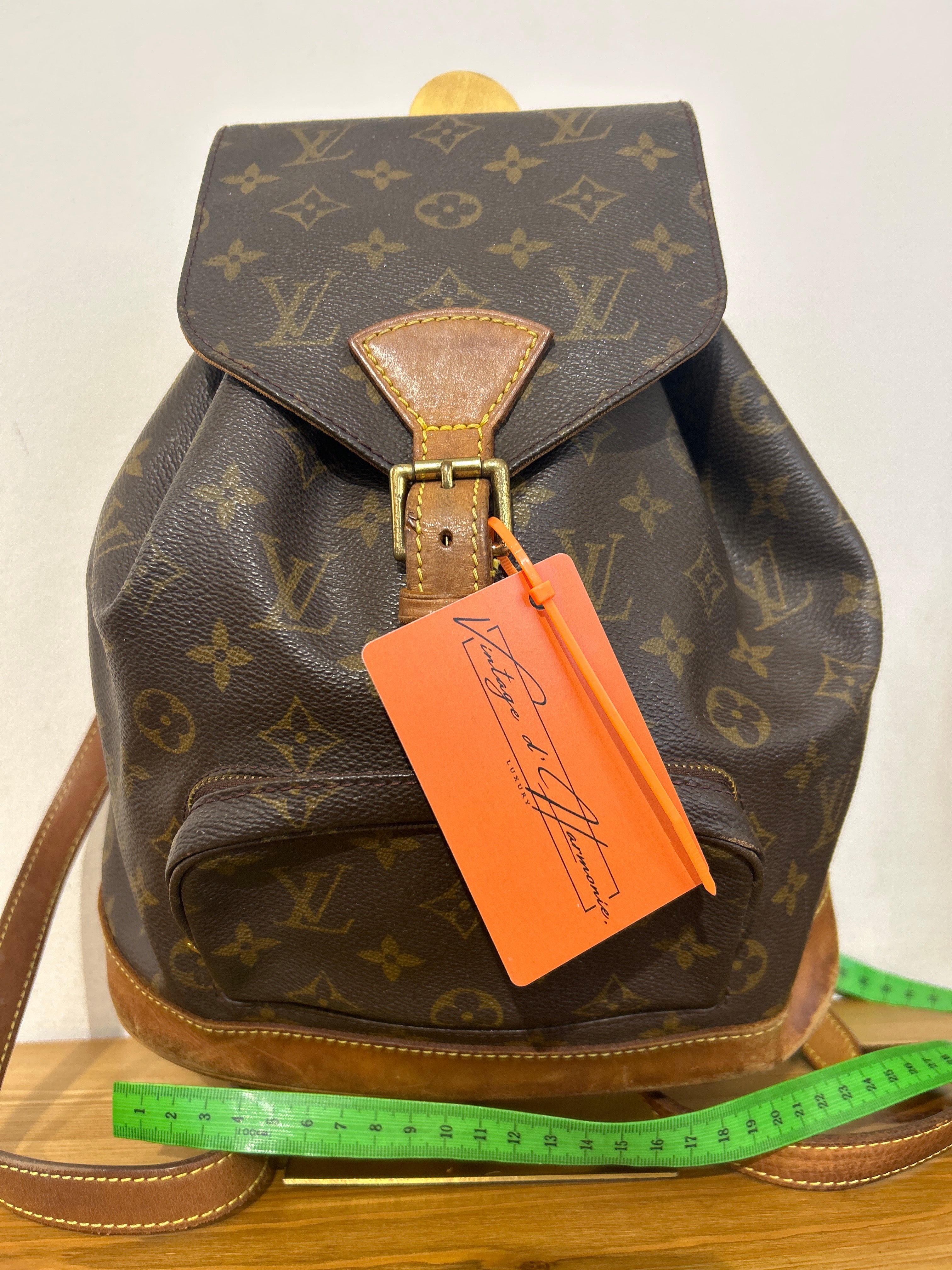 Louis Vuitton Montsouris MM
