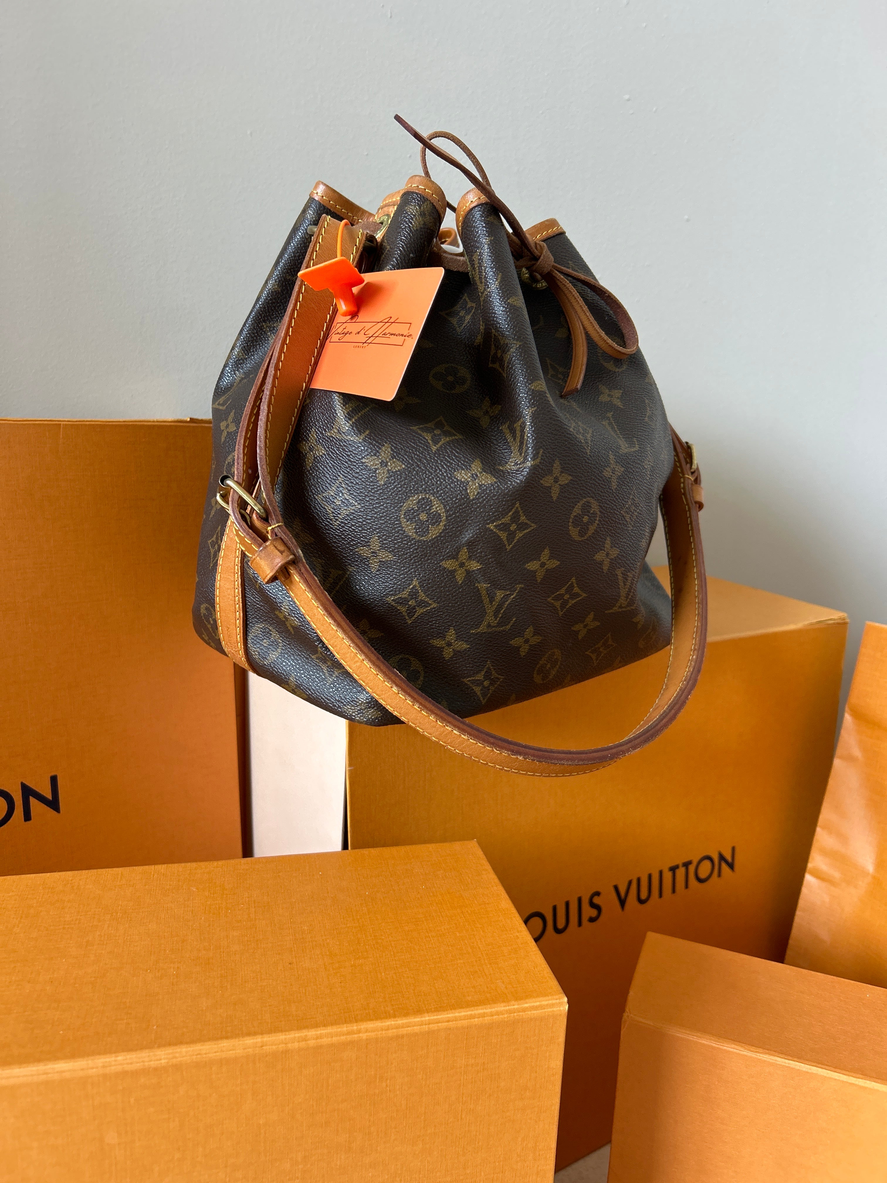 Louis Vuitton Petit Noè