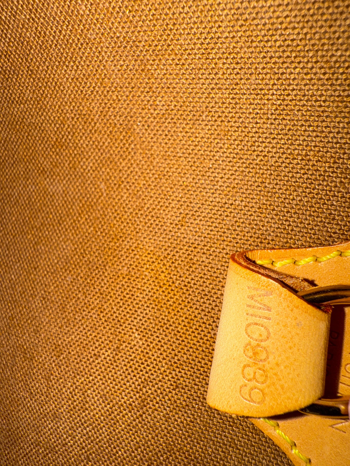 Louis Vuitton Sac Ellipse