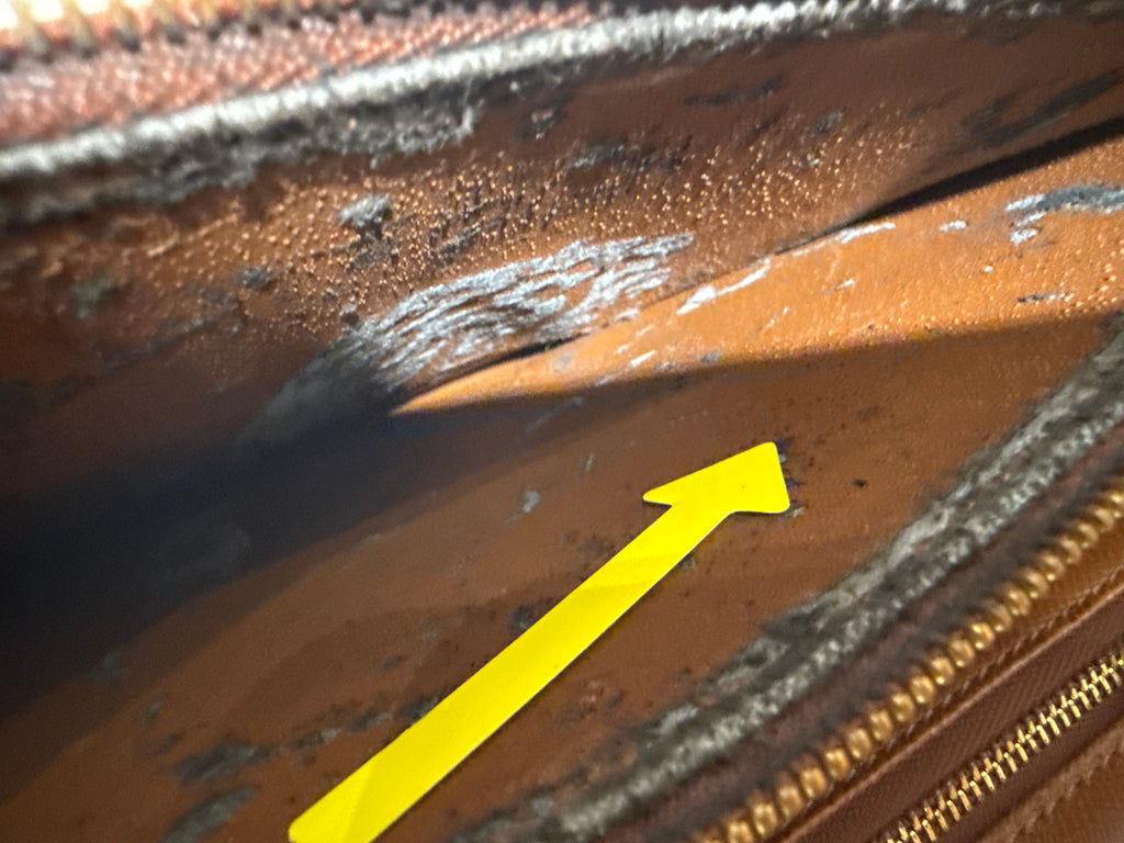 Louis Vuitton Concorde