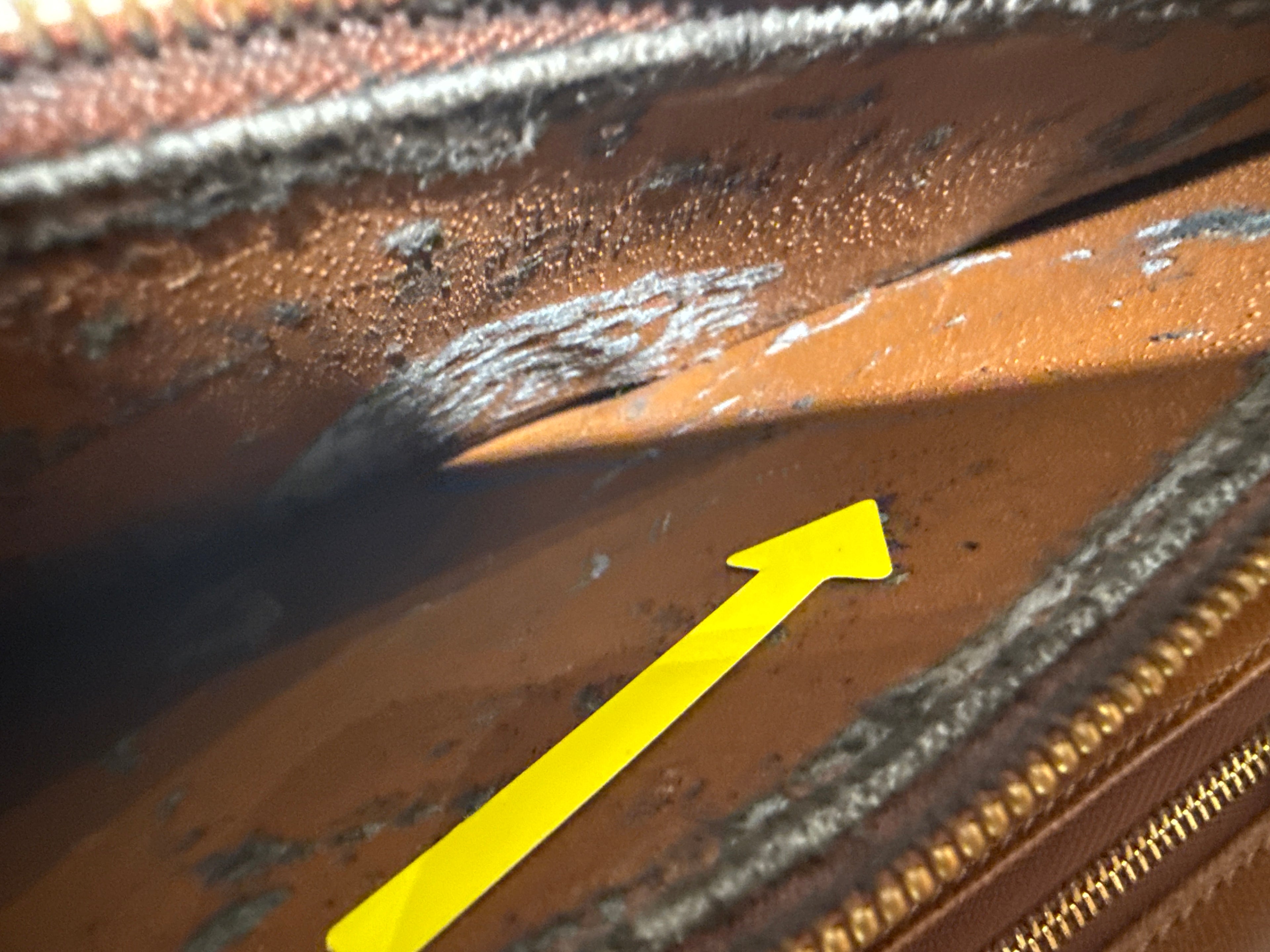 Louis Vuitton Concorde