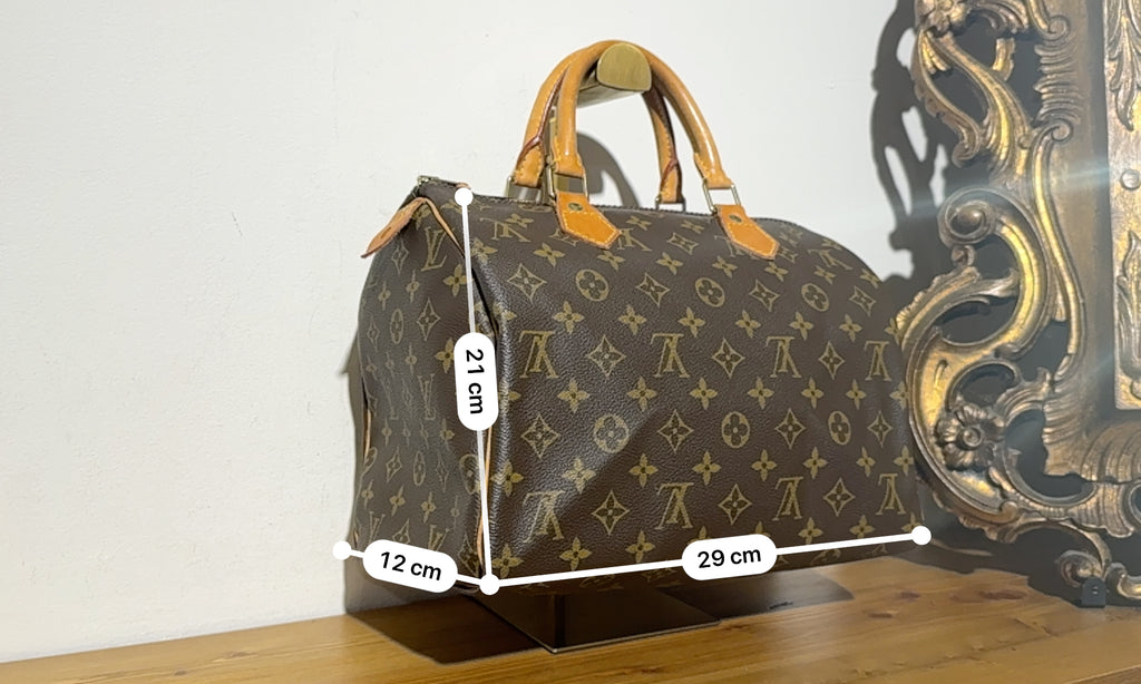 Louis Vuitton Speedy 30