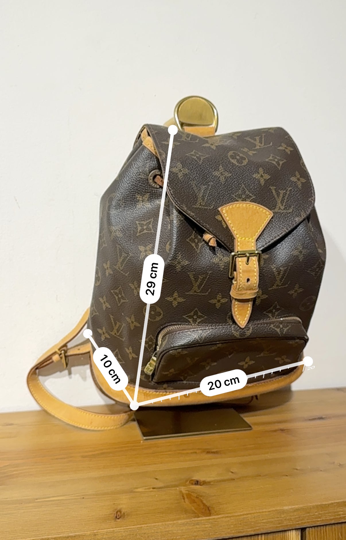 Louis Vuitton Montsouris MM
