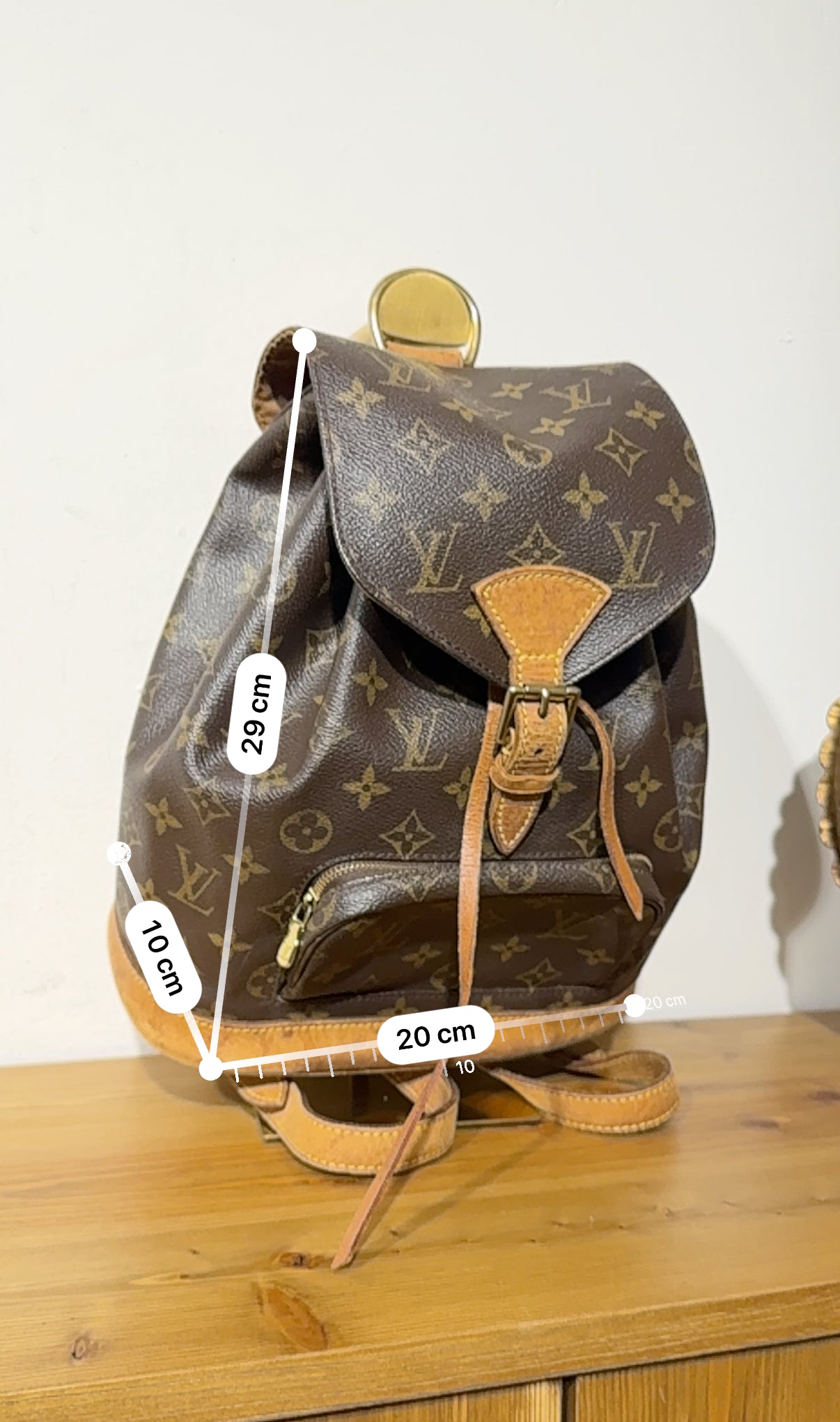 Louis Vuitton Montsouris MM