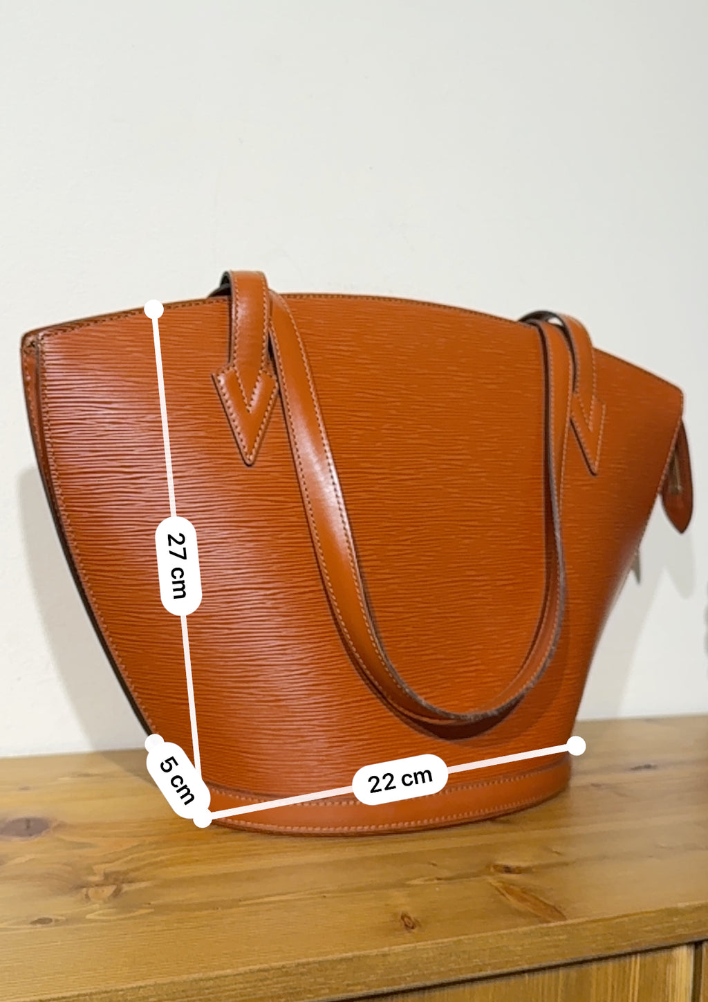 Louis Vuitton Epi Sanit Jacques Shopping