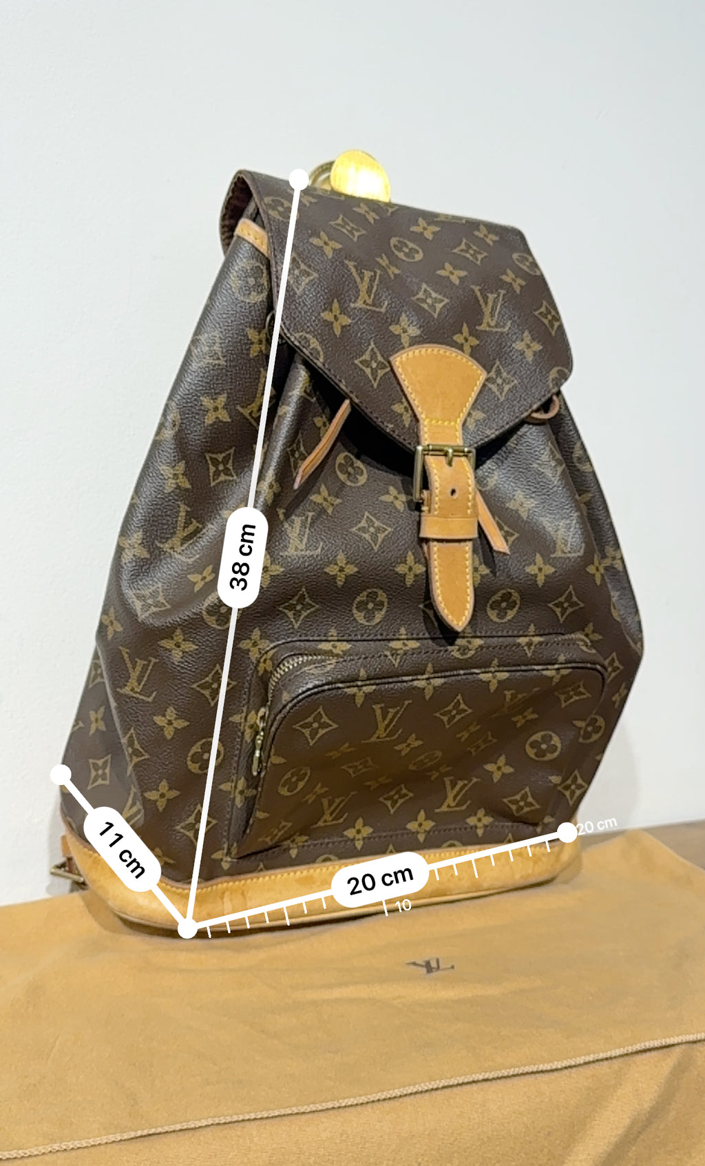 Louis Vuitton Montsouris GM
