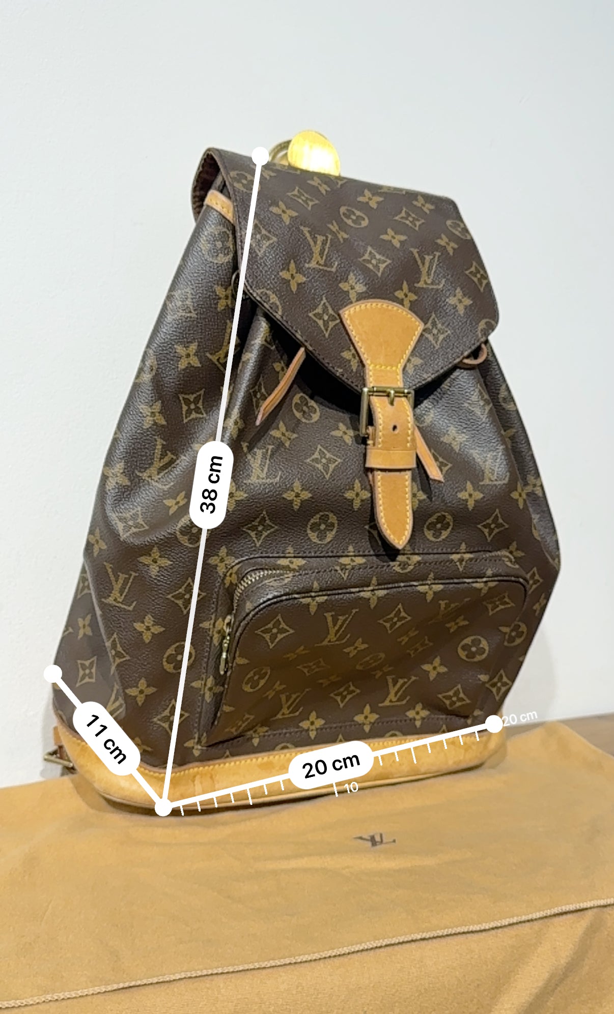 Louis Vuitton Montsouris GM