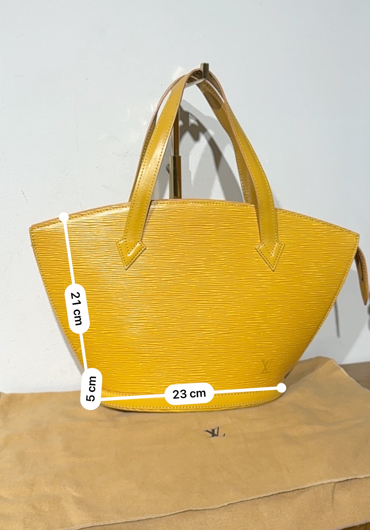 Louis Vuitton Epi Saint Jacques yellow