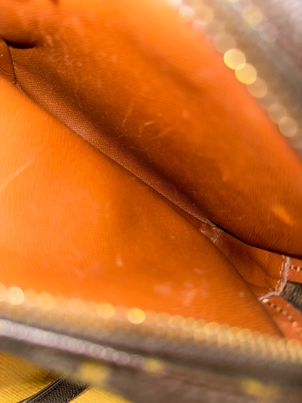 Louis Vuitton Monogram Amazon Crossbody