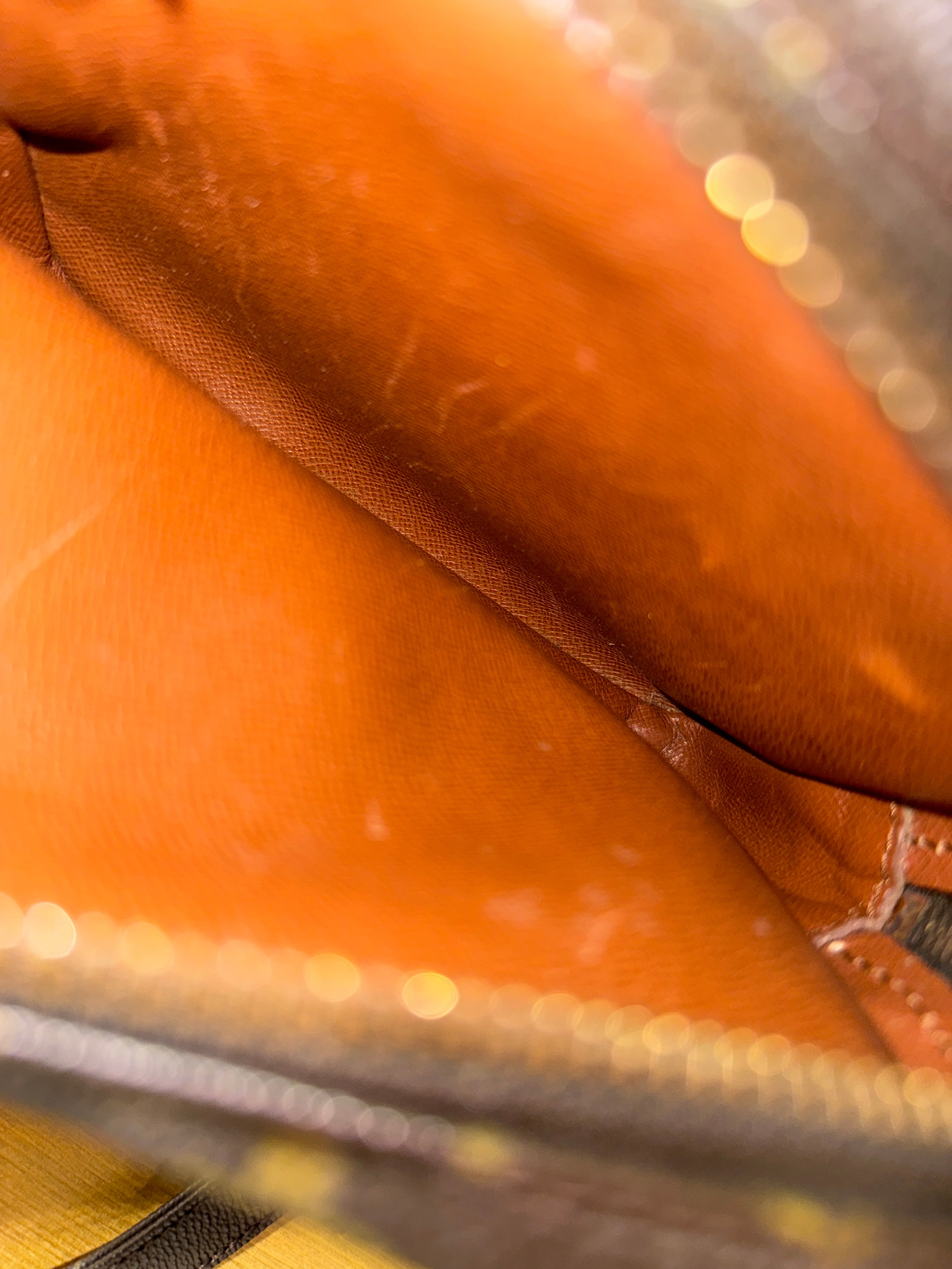 Louis Vuitton Monogram Amazon Crossbody