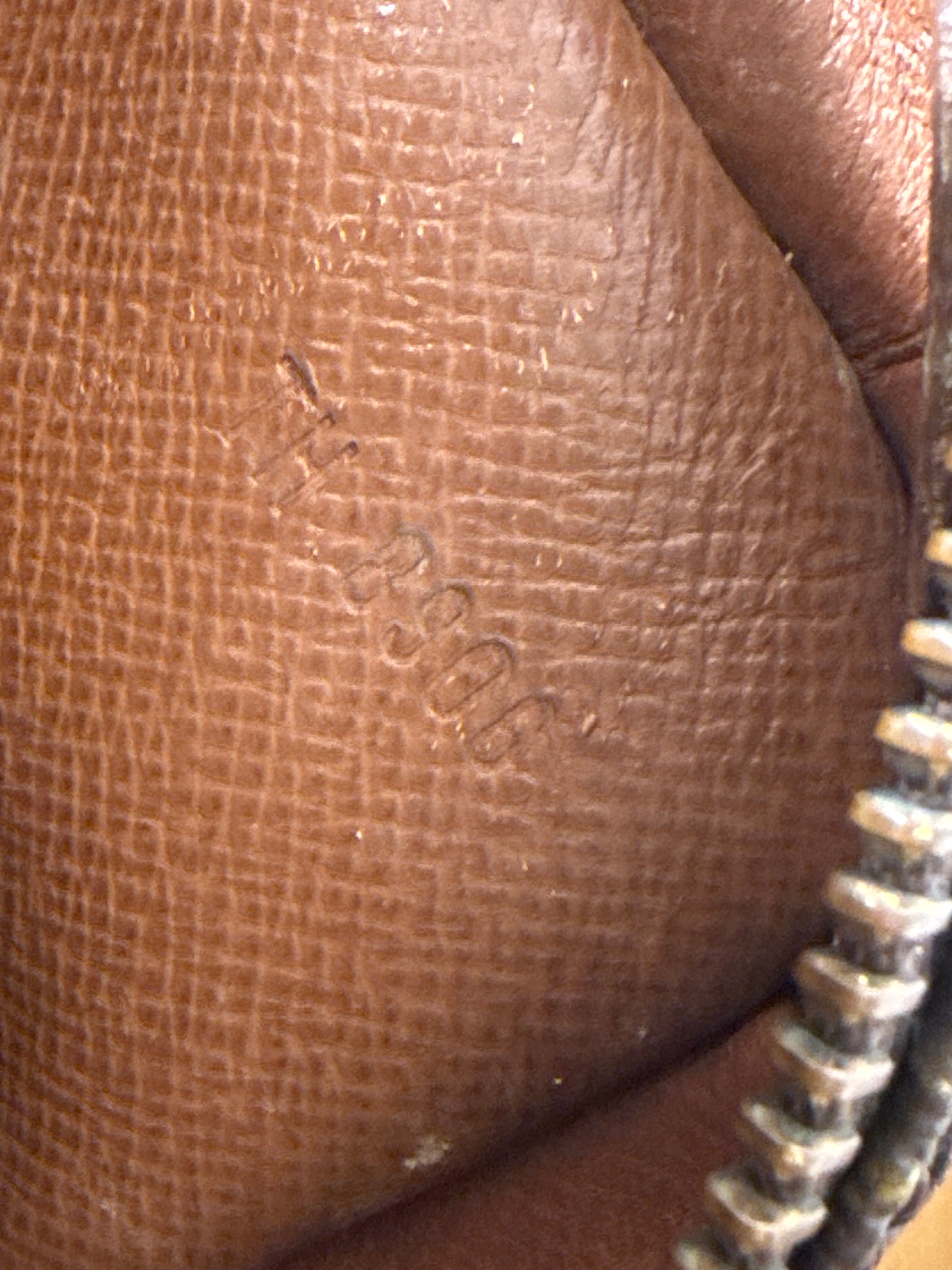 Louis Vuitton Monogram Amazon Crossbody