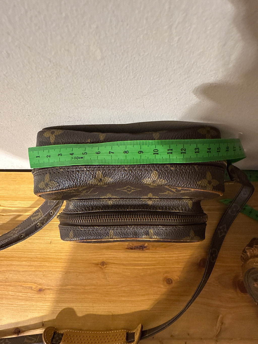 Louis Vuitton Monogram Amazon Crossbody