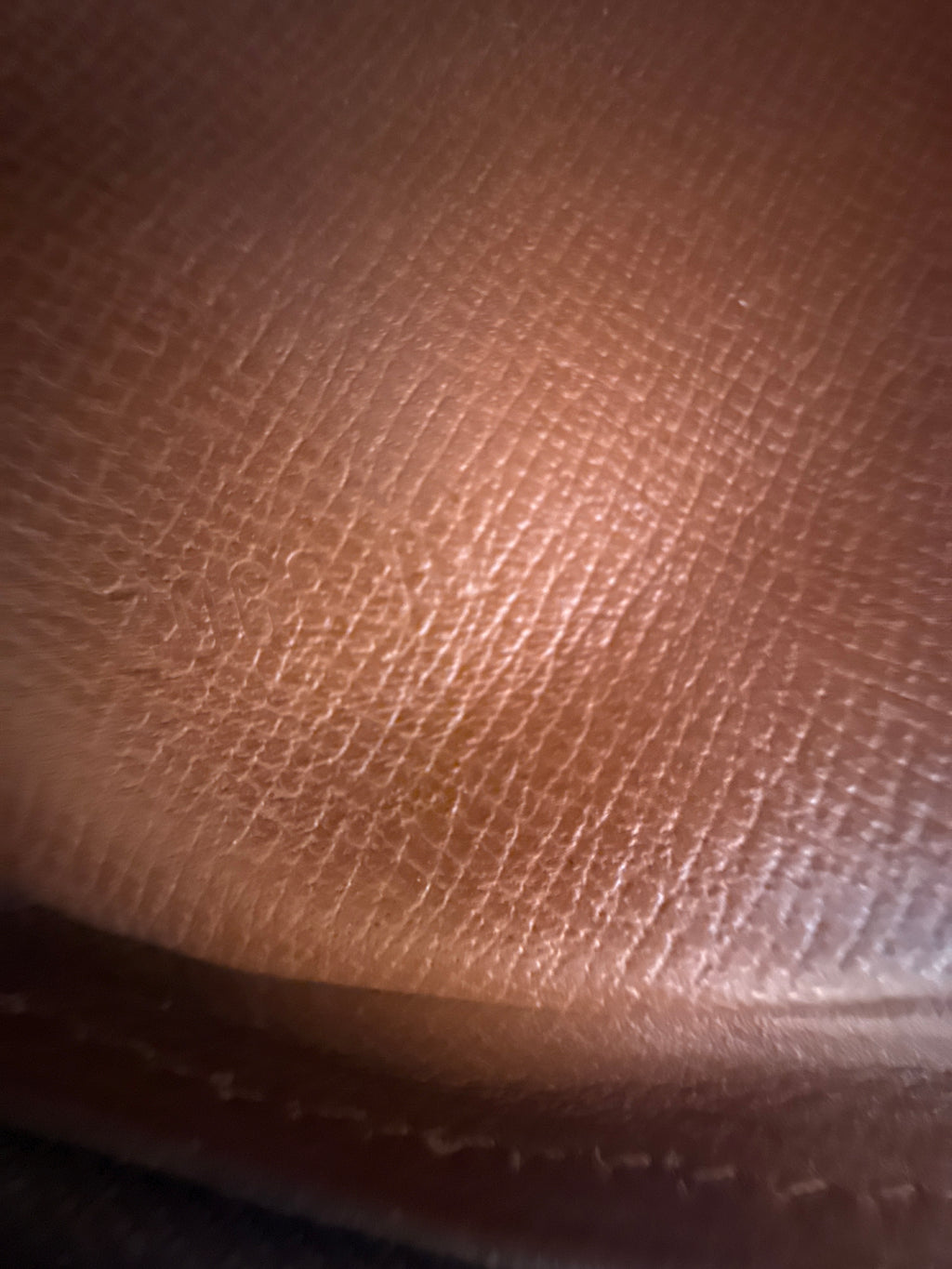 Louis Vuitton Marly Dragonne GM