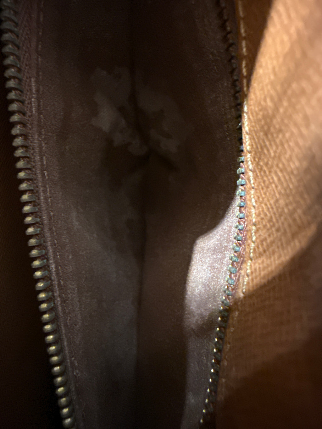 Louis Vuitton Marly Dragonne GM