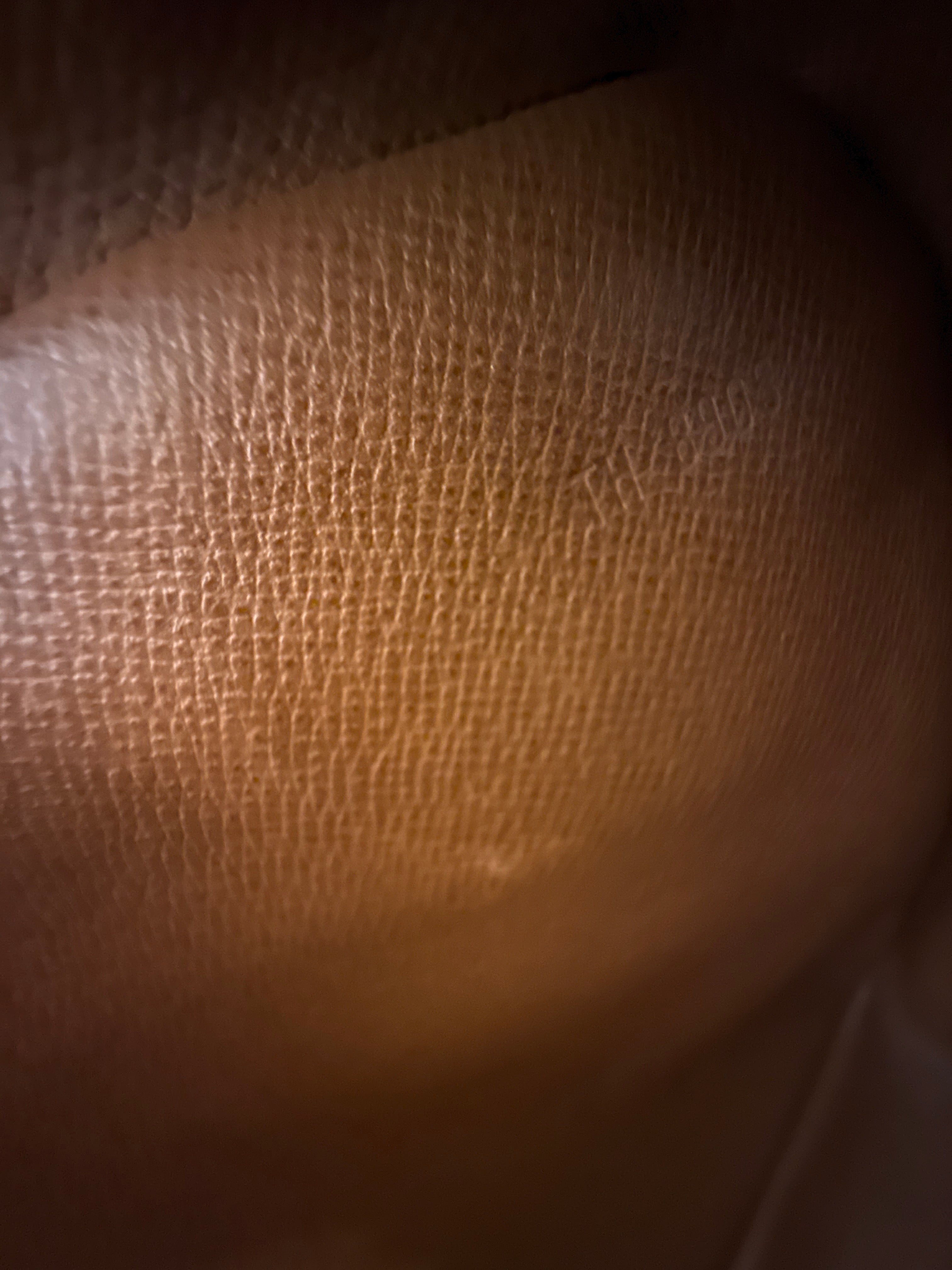 Louis Vuitton Marly Dragonne GM