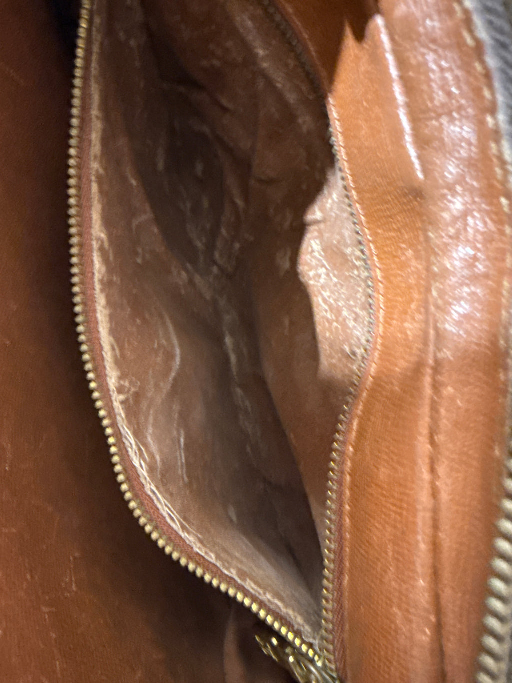 Louis Vuitton Marly Dragonne GM