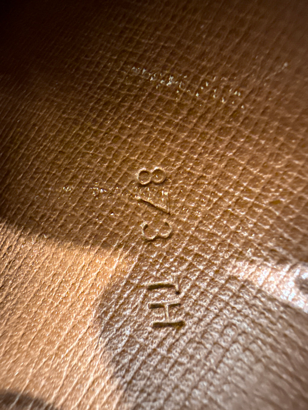 Louis Vuitton Marly Dragonne GM