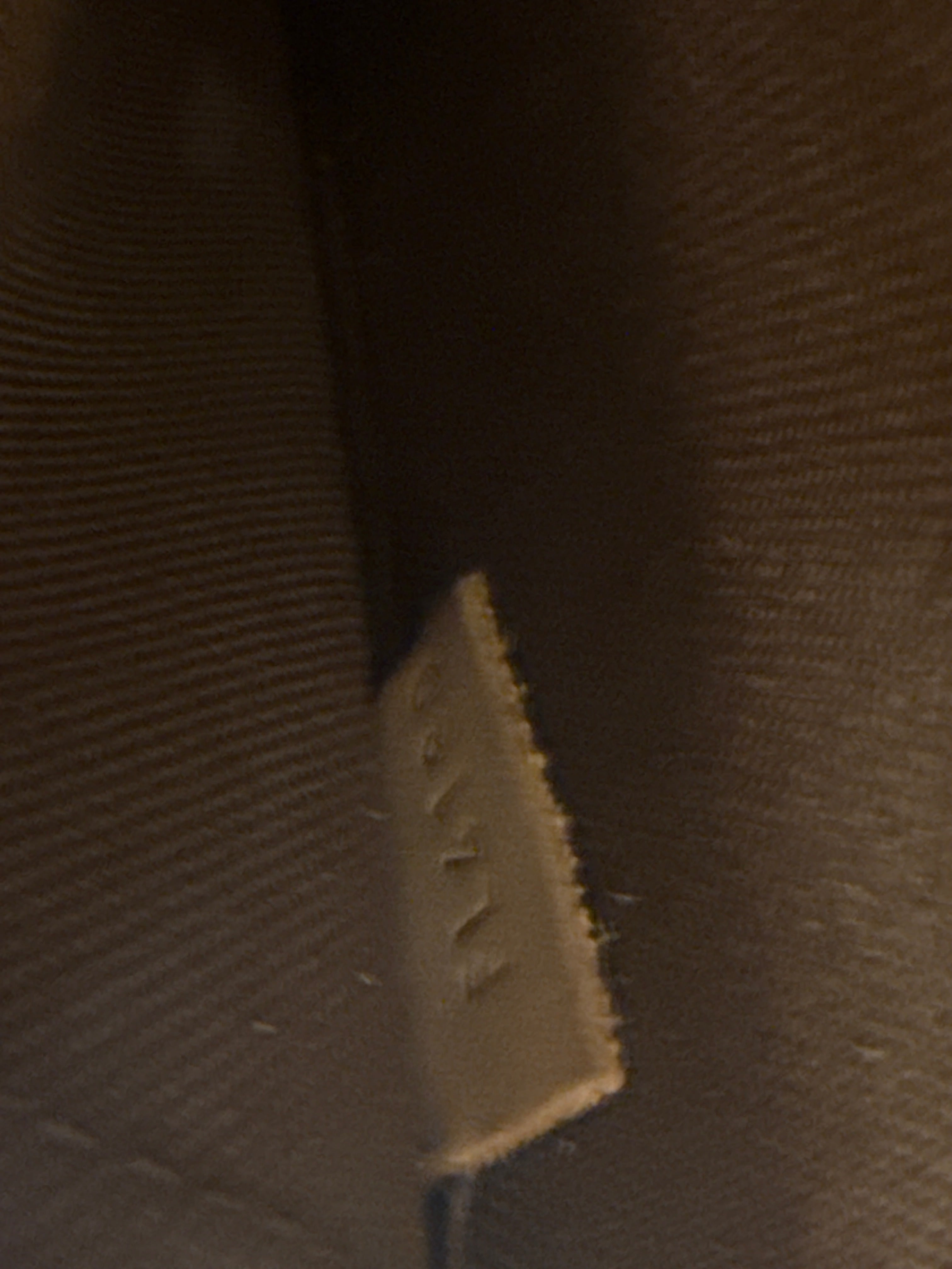 Louis Vuitton Alma Monogram